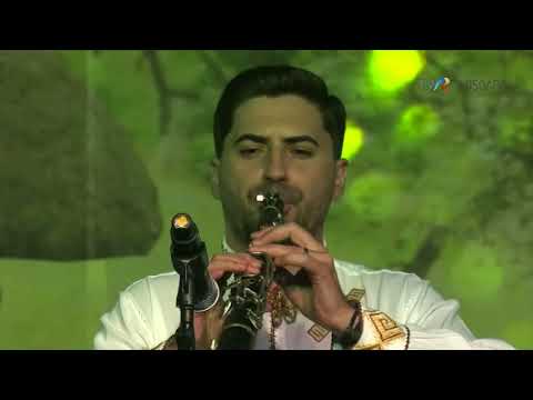 Remus Novac si Ansamblul Banatul - Instrumental taragot