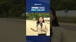 [단독] 담뱃불로 지지고 트렁크 감금·질주‥자랑하듯 영상까지 #Shorts (MBC뉴스)