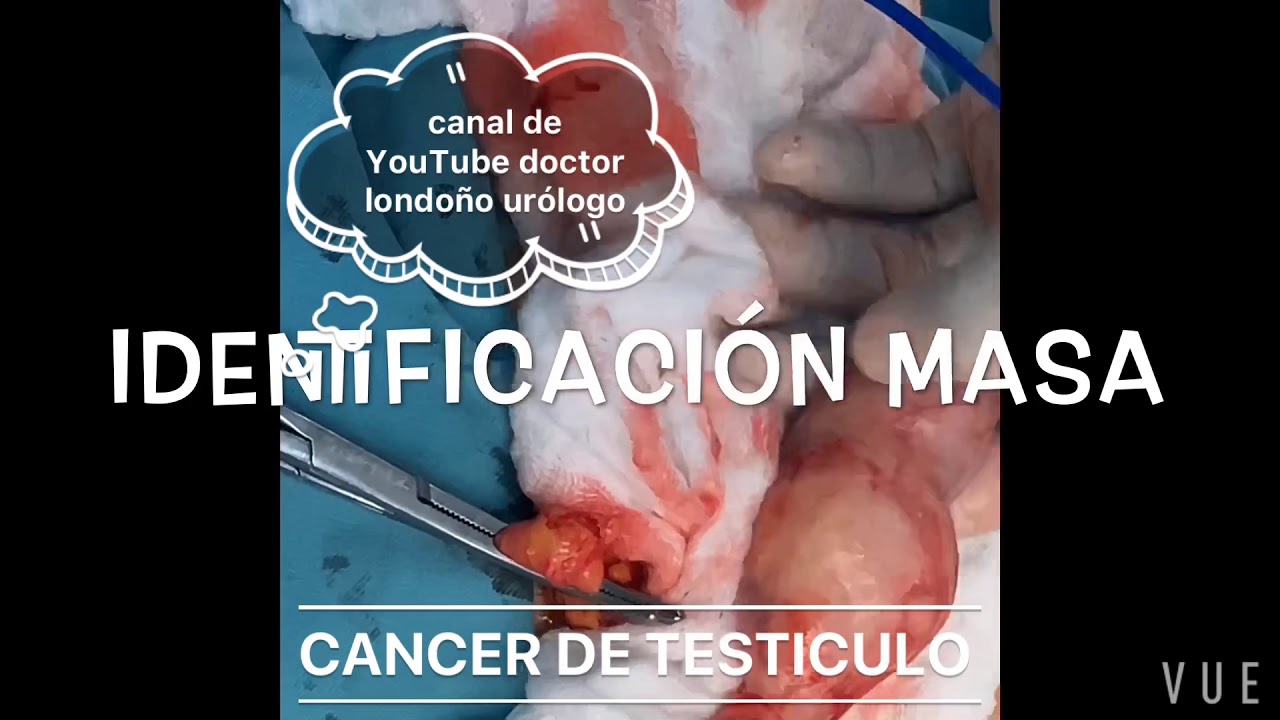 Carlos Londoño Martínez-36