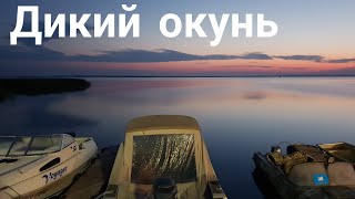 Рыбалка летом в мелькене
