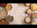 Podcast 46 Grain Or Grain Free Dog Food What To Feed Your Dog