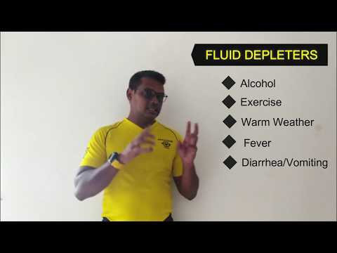 Essential Guide to Hydration