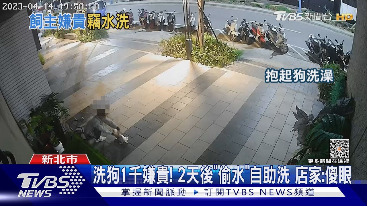洗狗1千嫌貴!2天後「偷水」自助洗 店家:傻眼