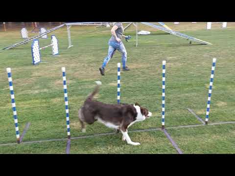 Voltage Field 31/08/21