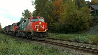CN 2678 at Fort Langley + More (2015-10-11)