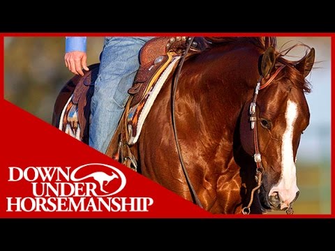 Clinton Anderson: Square Pen Control, Part 1 - Downunder Horsemanship