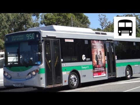 Mercedes-Benz O405NH (CNG, ZF) - Transperth Superbus 950 (Part Two)