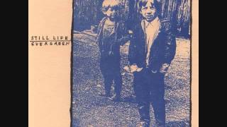 still life/ evergreen - split 7&quot;