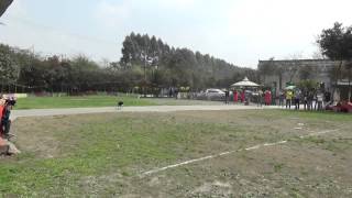 201503 Jimmy Chen & Ray disc dog freestyle