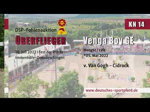 KN 14: Hengstfohlen v. Van Gogh/Cidrock