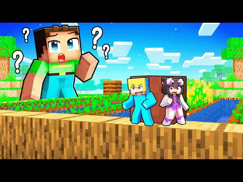 Wir versteckten uns in ALLEN GRÖßEN in Minecraft!