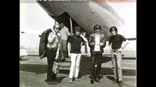 Did You Ever Have That Feeling - The Standells