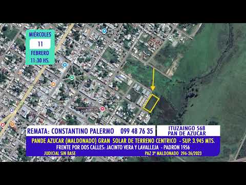 Constantino Palermo Remate judicial Solar de terreno en Pan de Azúcar (Maldonado) miércoles 11/02/26