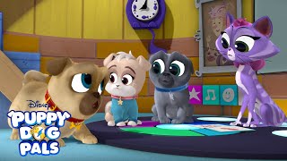Storytime Wiggles 📚| Puppy Playcare | Puppy Dog Pals | Disney Junior