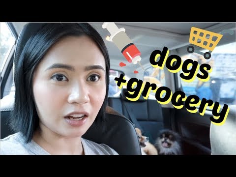 VET VISIT  + LANDERS HAUL | Anna Cay ♥