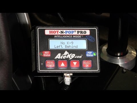 No K9 Left Behind Live Demo