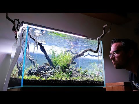 How to set up a Nature Aquarium - Steven's Aquascaper 600