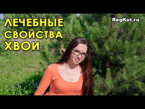 , title : 'Лечебные свойства хвои для здоровья человека. Польза и вред сосновой хвои'