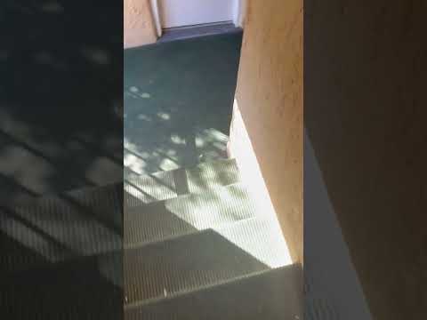 Sea Mist Oceanfront Resort - To complain about my stay and not helpful