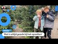 Dit weekend worden veel kerstbomen gekocht