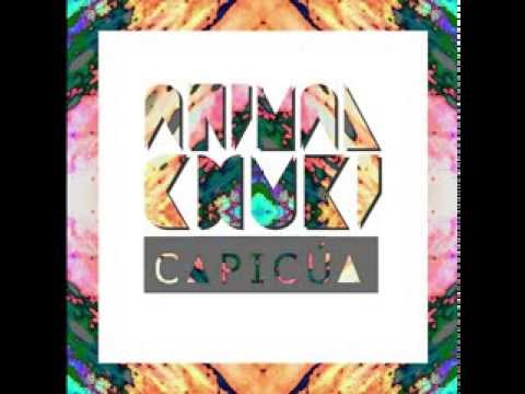 Animal Chuki - Polen