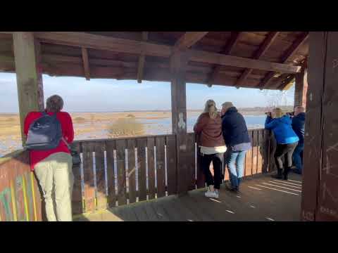 Marzec nad Biebrzą czyli gdzie na weekend na Podlasiu.
