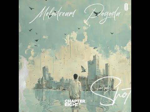 Melodream & Pogoda - I Had My Shot (Lyric video)