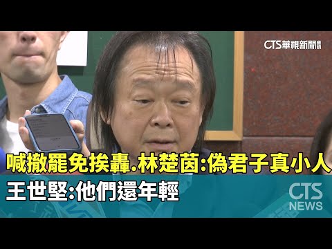 喊撤罷免挨轟　林楚茵：偽君子真小人　王世堅：他們還年輕