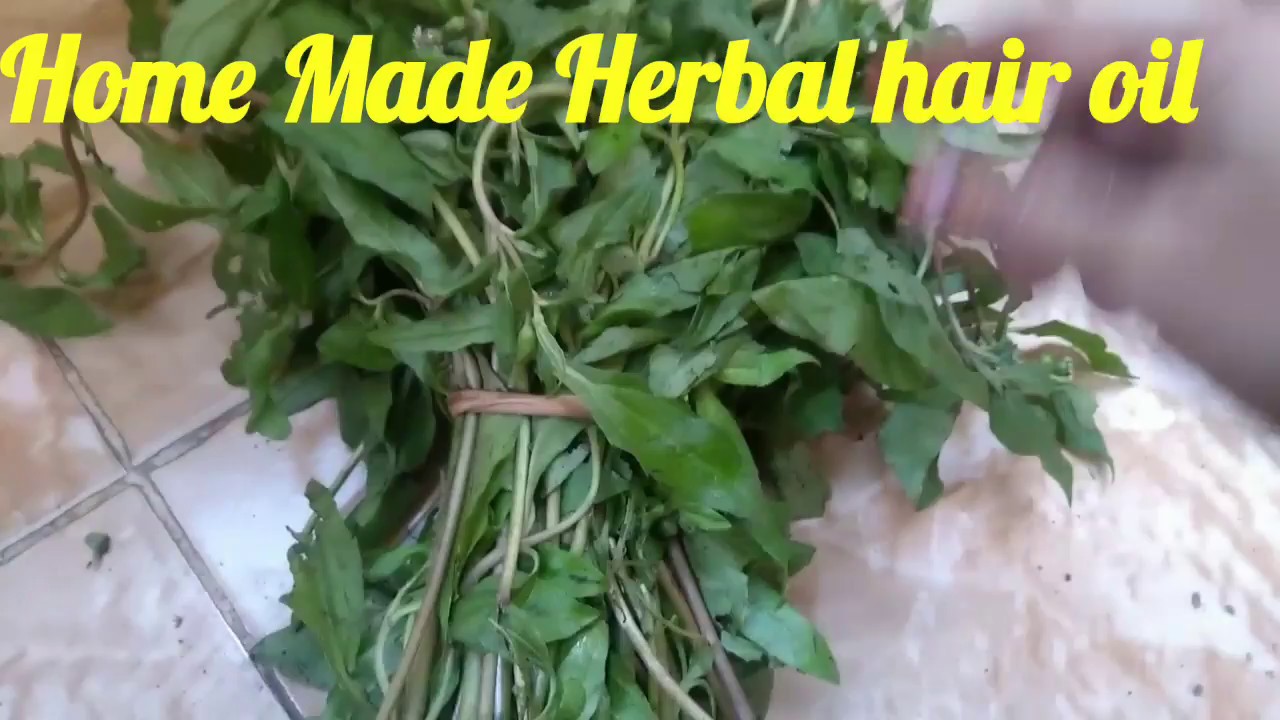 Home Made Herbal Hair Oil ( detailed procedure )