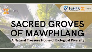 Sacred Groves of Mawphlang