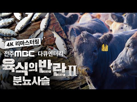 , title : '[4K 리마스터링] 대량사육으로 한국 농촌은 썩어가고 있다?😡 분뇨사슬이 뭐길래?ㅣ전주MBC 다큐멘터리ㅣ육식의 반란ㅣ명작 고화질 리마스터링ㅣ명품 다큐'