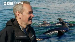 Whale Watching in Iceland with Alexander Armstrong | The Travel Edit