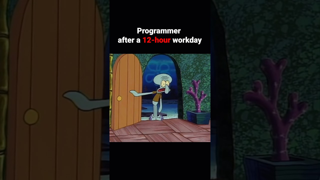 #ithumor #itmemes #programmermeme #programmingmemes #developmenthumor