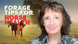 Dr. Pat Harris: Equine Digestive Challenges