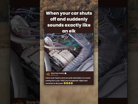 When your car shuts off and suddenly sounds exactly like an elk