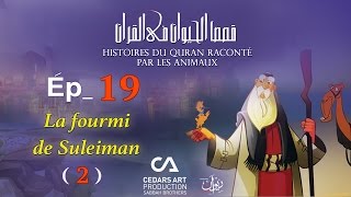 Histoires D'Animaux du Coran | Ép 19 | La fourmi de Suleiman  (2) - قصص الحيوان في القرآن