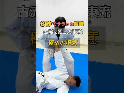 【8秒でサラッと解説】極め技の極意　〜合気道の源流〜古流に残る大東流合気柔術総伝の巻　腹で極める編