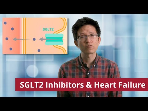 SGLT2 Inhibitors and Heart Failure