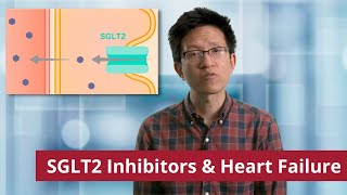 Download lagu SGLT2 Inhibitors and Heart Failure mp3