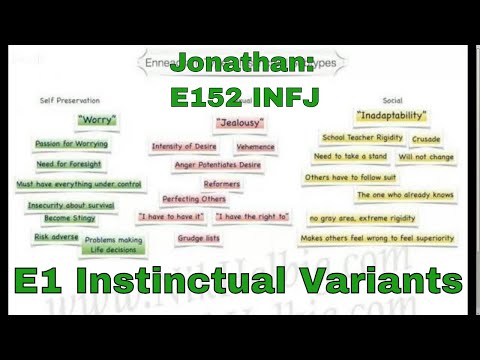 ENNEAGRAM 1: #1.2 (.2 = E1 instincts) (#1 = Jonathan: E1, "NiFx" ie INFJ)