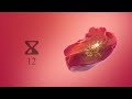 Rilès THE HEARTBREAK V2