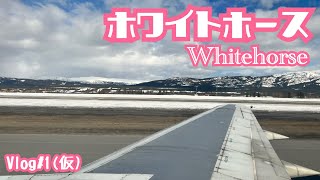 ホワイトホースのメインストリート！【Vlog#1（仮）】