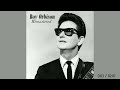 Roy Orbison - Big As I Can Dream (Remastered by RS 2023)
