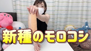 新種のトウモロコシを入手しました！！【男コーン】