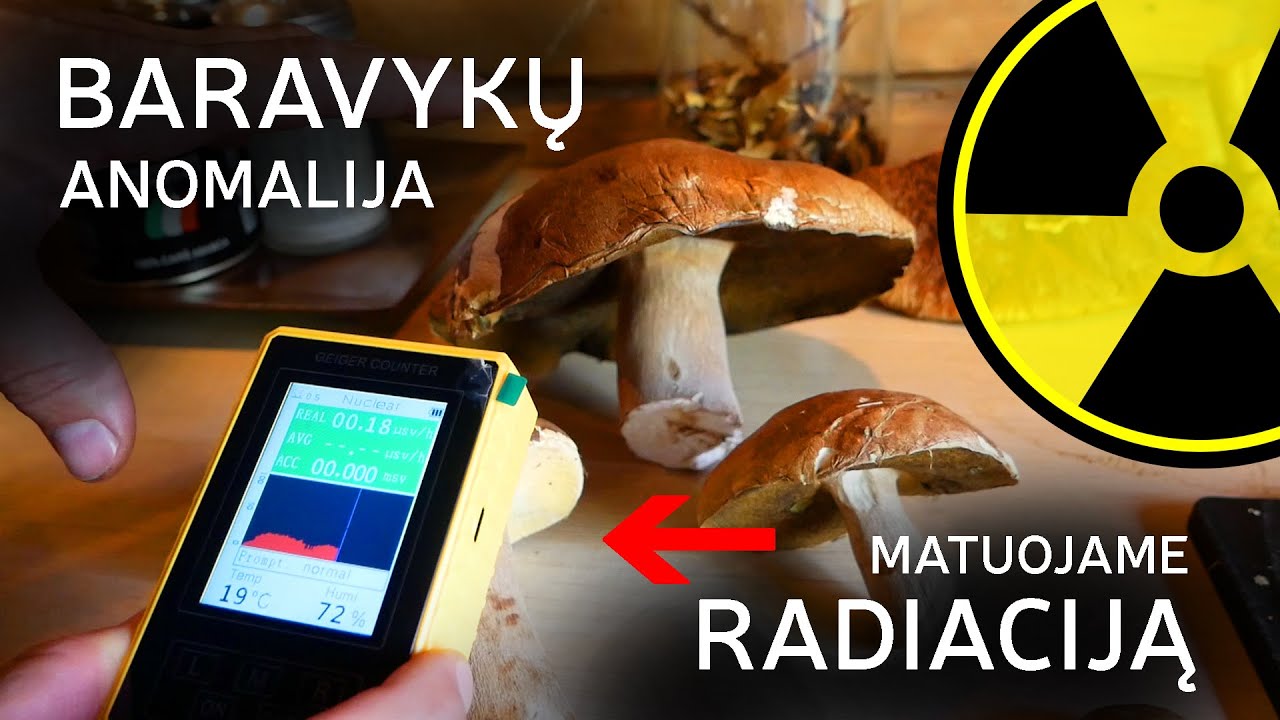 Iš kur tiek GRYBŲ aplink namus? Testuojame DOZIMETRU