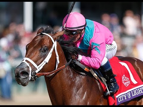 Breeders' Cup Dirt Mile (G1)  2018 -  City Of Light