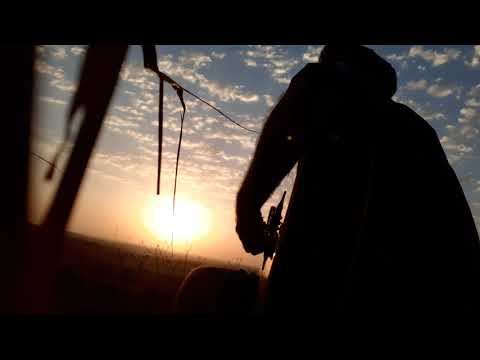 למנצח על הגיתית