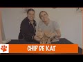 Britt gaat kittens chippen! | DierenpraatTV