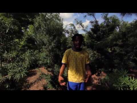 Young Bobby Bushido - The Aspiring Me (Official Video) Dir by @Amtvdc