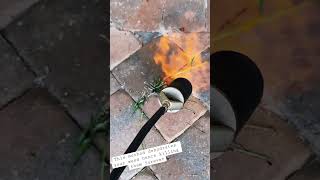 How to get rid of weeds in pavers Forever - YES IT WORKS!
